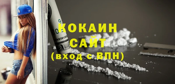 стаф Алексин