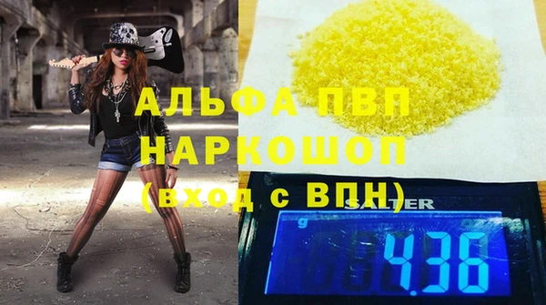 стаф Алексин