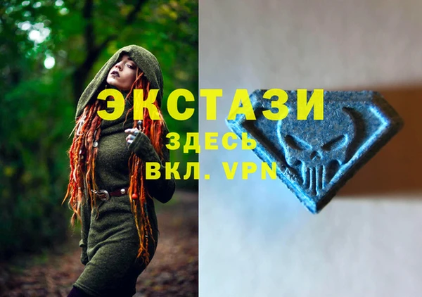 PSILOCYBIN Алзамай