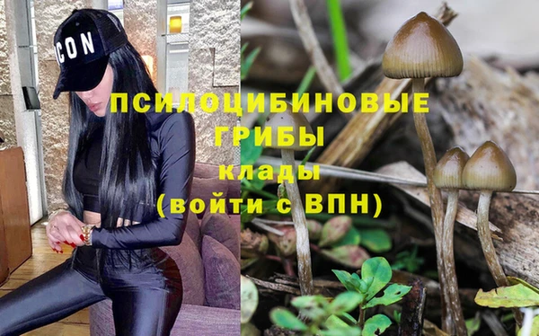 таблы Алексеевка
